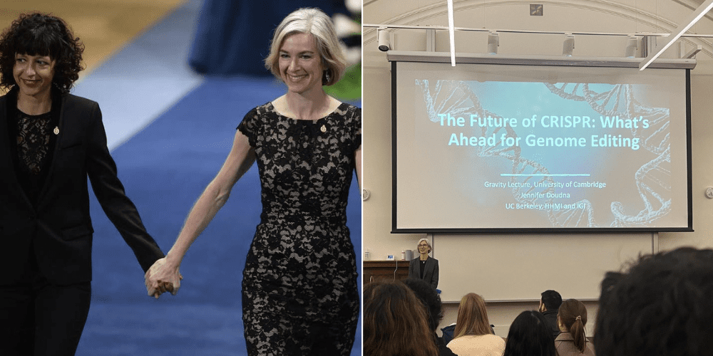 Five Nobel-Winning Breakthroughs That Transformed Lives